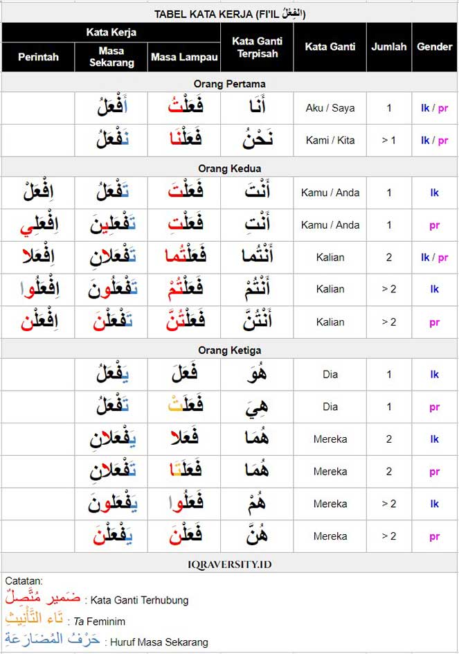 Bahasa Arab Kata Kerja Fi Il Lengkap Bahasa Arab Indo Vrogue Co